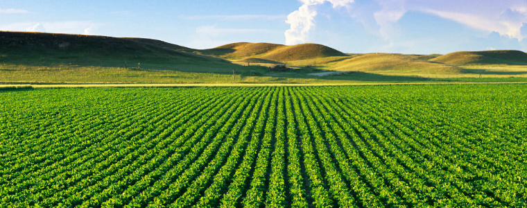 Agricultural real estate industry