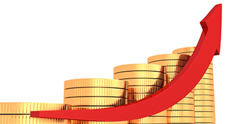 Raised charter capital to VND 33 billion